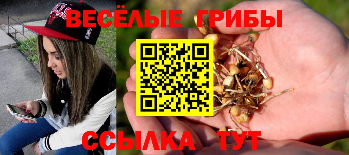Галлюциногенные грибы Cubensis  где найти наркотики  Галлюциногенные грибы мицелий  Кудрово  Вход с VPN 