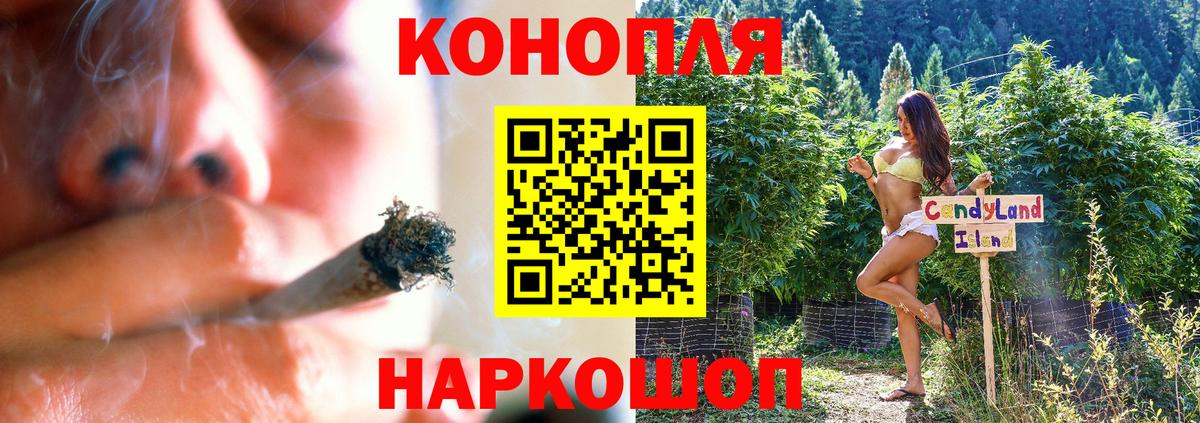 Каннабис Amnesia Кудрово